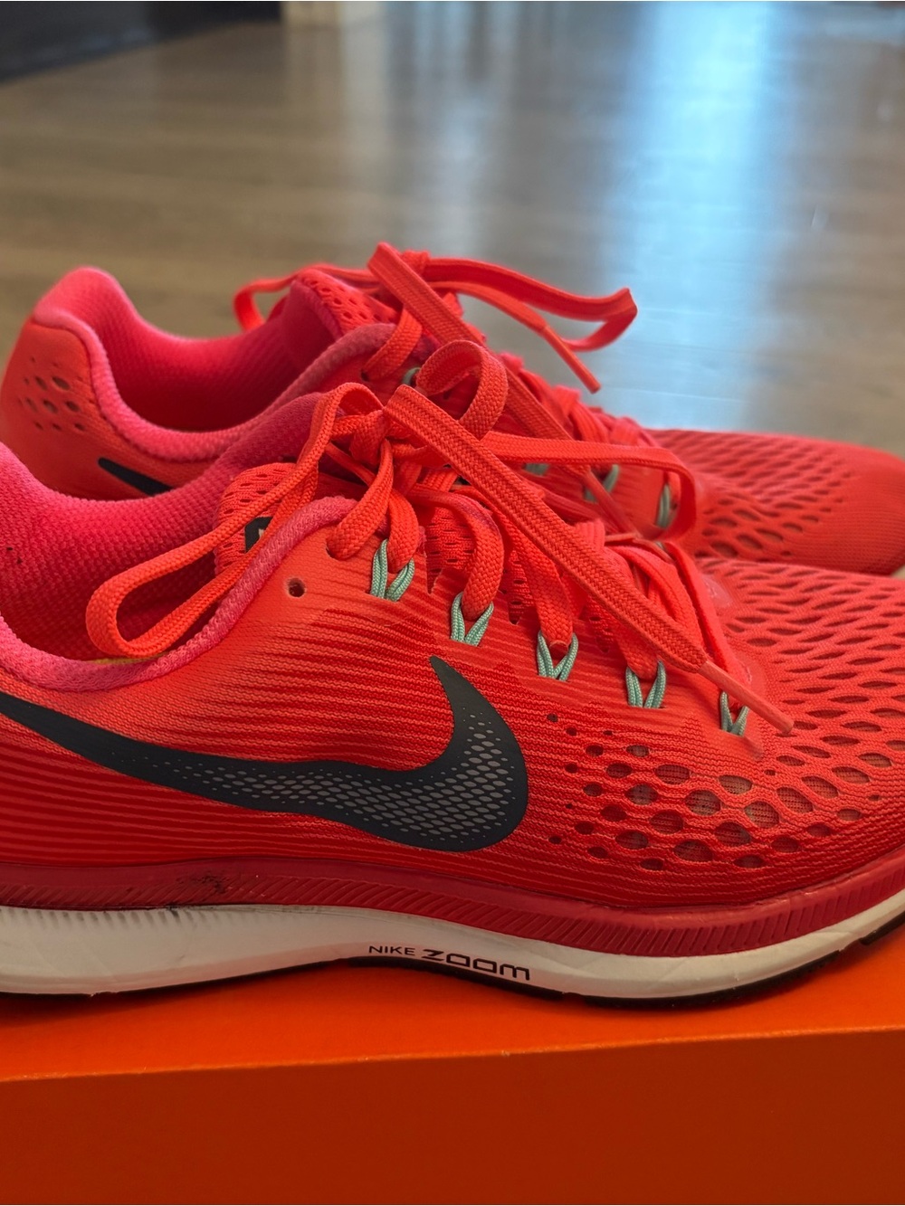 Nike Pegasus Running Shoes